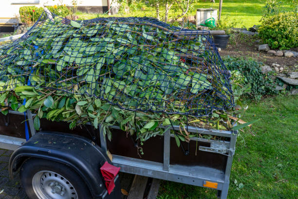 Best Junk Removal for Events  in Fort Ashby, WV